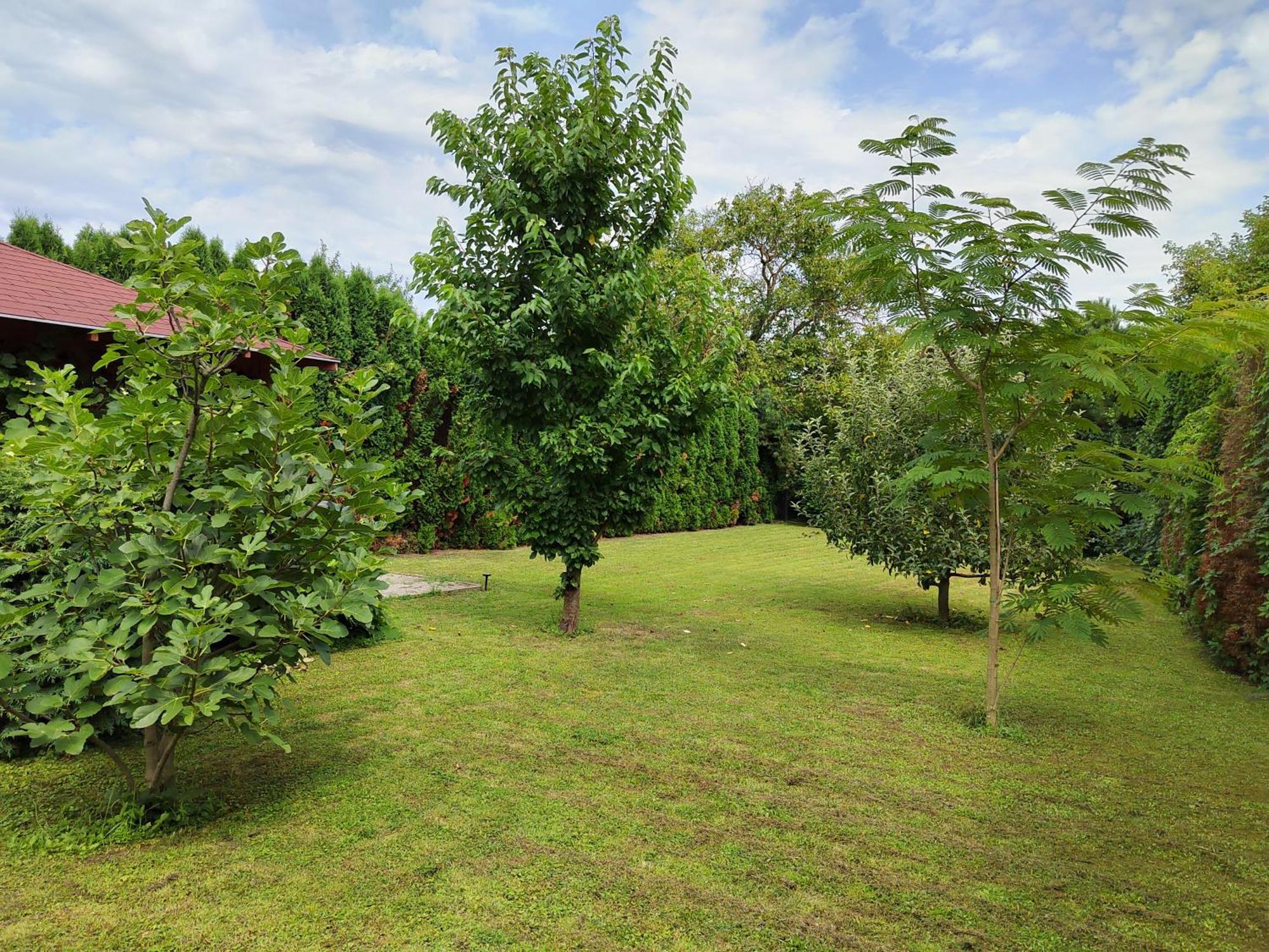Villa Viktoria เฮวิซ ภายนอก รูปภาพ